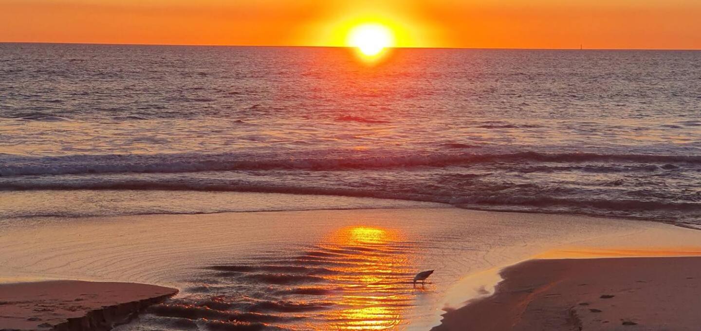 Sandcastles At The Beach Outstanding Location! بيرث المظهر الخارجي الصورة